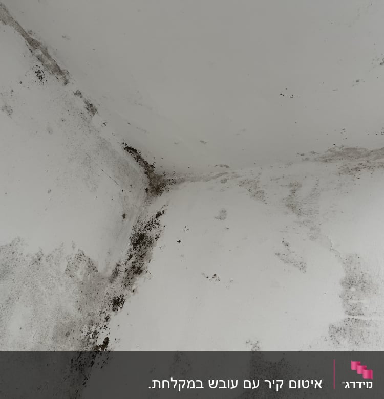 פינת קיר עם סימני רטיבות ועובש